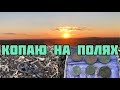 Коп 2021. Копаю на полях #коп  #пошукзметалошукачем #копвукраїні #камрад #монеты #находки #поиск