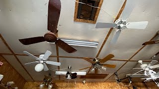 Happy NCFD 2023! (Home Tour + Ceiling Fan Display 7)