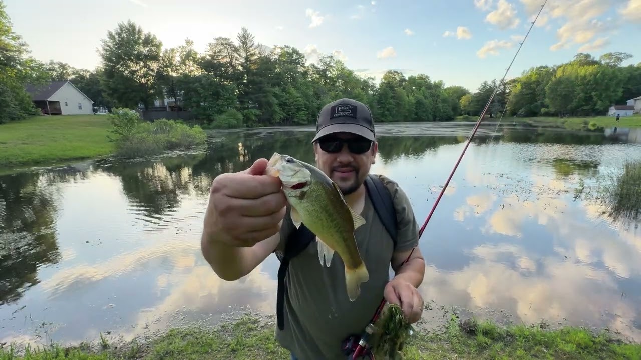 Couple days of fishing, couple big fish! #fishing #bassfishing #bigbass #buzzbait #trickworm
