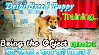 Indian breed Dog Training | Street Dog Throwing ball Training | बॉल फेंक कर वापस लाना | #Stree dog