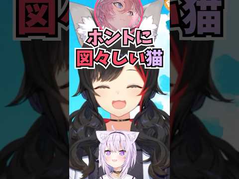 ホントに図々しいおかゆんのおかげで交流が増えたと話すルイ姉に爆笑するミオしゃ #shorts  #ホロライブ #切り抜き #vtuber #大神ミオ #鷹嶺ルイ #猫又おかゆ #ホロ切り抜き