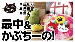 【京都・綴喜郡宇治田原町 ☆通販☆】目標達成率731％！！！ドロン！と化けたちゃったぁ〜見て楽しい、食べて飲んで美味しい、面白いねこたちは、大人気商品だニャ♡