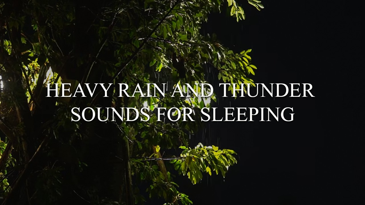 Heavy Rain and Thunder Sounds for Sleeping – No Ads • Peaceful Sleep Instantly