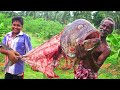 GIANT FISH HEAD and BONE SOUP | Village Traditional Recipe |