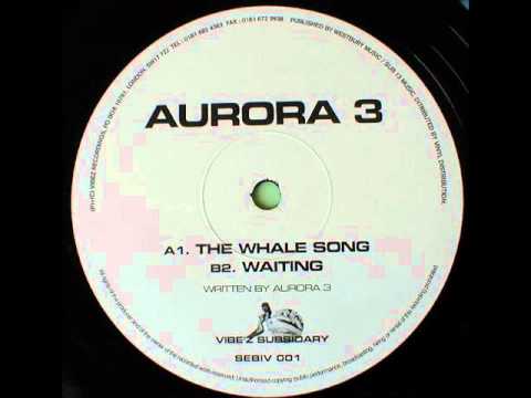Aurora 3 — Aurora 3 - The Whale Song
