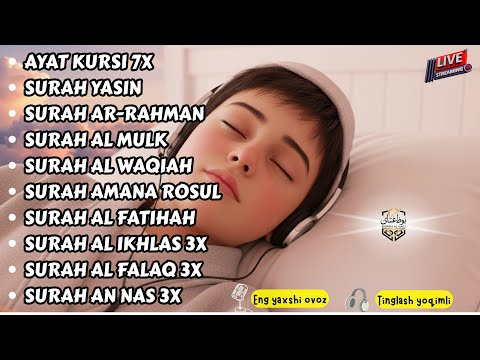 安らぎのためのクルアーン朗読 – 魂を包む平和の瞬間 Alaa Aqel