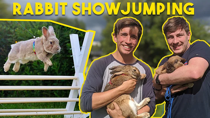 THE CUTEST SPORT IN THE WORLD | Rabbit Show jumping