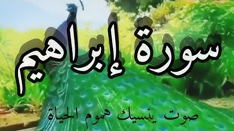 سورة إبراهيم (كاملة تلاوة هادئة وخاشعة تريح القلب والسمع)