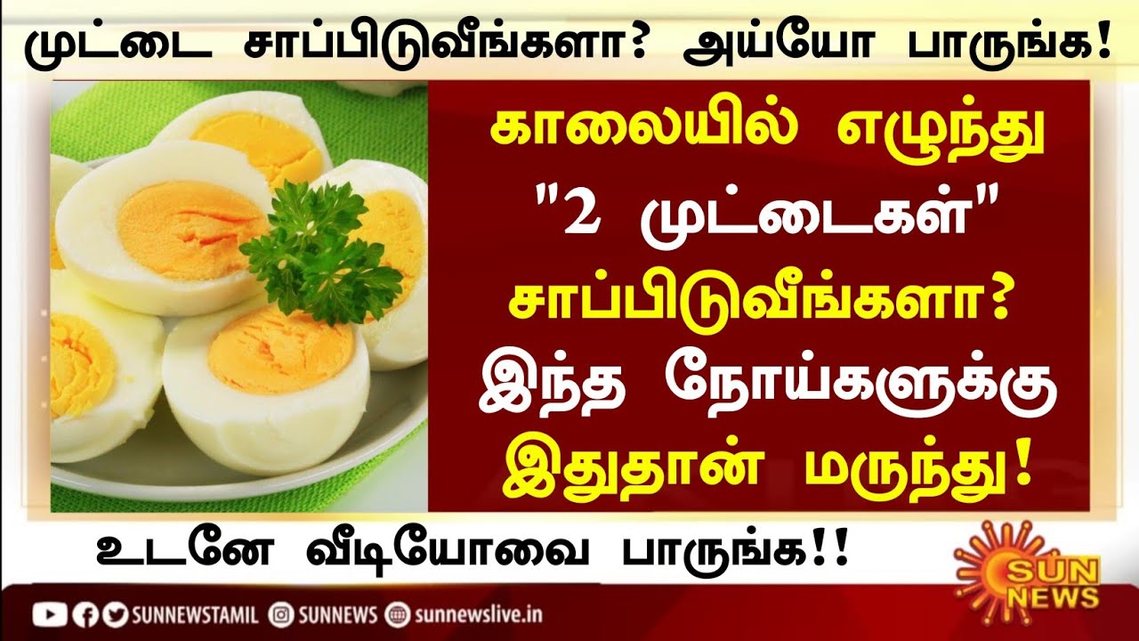 காலையில் முட்டை சாப்பிடுவீங்களா? |Health Benefits of Eating Eggs in Tamil| Egg Health Tips in Tamil 