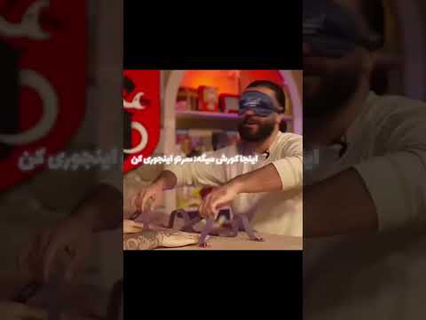 عجیب ترین صحنه ی یوتیوب میاکوروش Miaplays کوروش توپیا کومان ایمان میاپلیز میاوکوروش میا