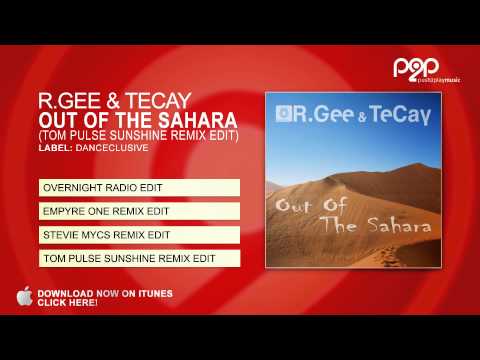 R.Gee & TeCay - Out Of The Sahara (Tom Pulse Sunshine Remix Edit)