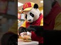 My First Day at McDonald's! 🐼🍟 (Trying My Best!)
