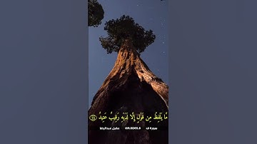 خلي الهيتفون وسمع 💖 القارئ عقيل عبدالرضا