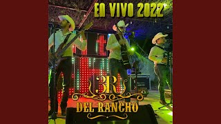El Buho