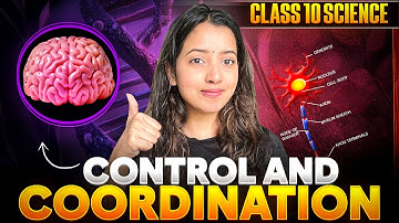 CONTROL AND COORDINATION - Class 10 Science | FULL Chapter from NCERT + Important Questions #biology