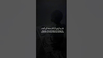 اكتب شيء تؤجر عليه 😴💚 قران كريم | ياسر الدوسري