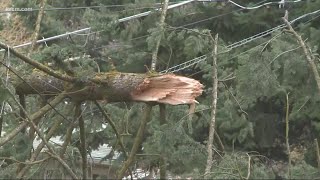 Spokane tree services prepared ahead of Wednesday windstorm