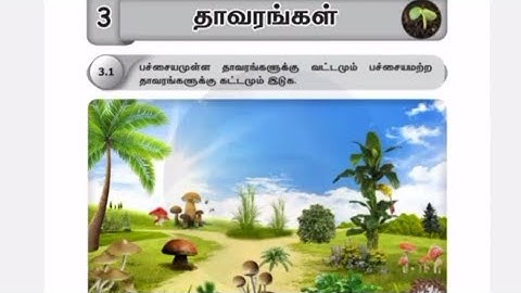 standard 4 term 2 science unit 3 தாவரங்கள் அறிவியல் Ennum Eluthum work book ans key 4th std