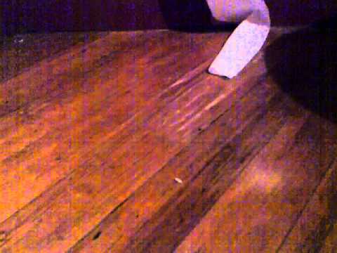 Termite Damaged Flooring Youtube