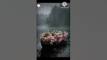 #قران_كريم #اكسبلور #العيد #تلاوة_خاشعة #تيك_توك #حالات_واتس #راحة_نفسية #لايك #قرآن #shortvideo