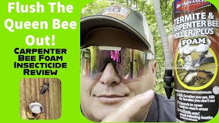 BioAdvanced Carpenter Bee Insecticide Foam Review, Flush the Queen Bees Out!