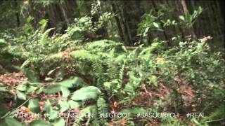 Best Bigfoot evidence 2015