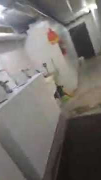 Download lagu 2612 1 n 2