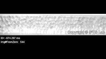 Polymer Particle Flow