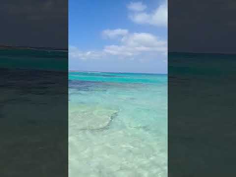 يلا نروح البحر  البحر