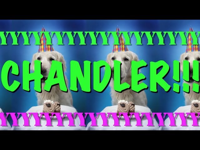 HAPPY BIRTHDAY CHANDLER! - EPIC Happy Birthday Song