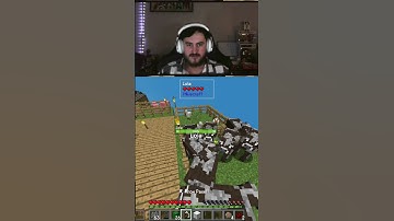 Dont LOOK PENNY -- Modded Mincraft