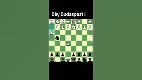 Bẫy Hậu nhanh ! #khaicuoccovua #chess #baykhaicuoc #chesscom #games