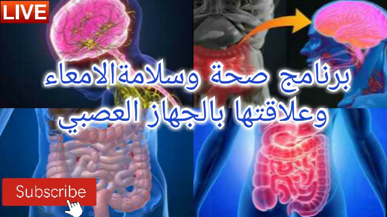 🔴 صحة وسلامة صحة الامعاء والجهاز العصبي || الاستاذ محمد احليمي اختصاصي الحمية العلاجية والتغذية