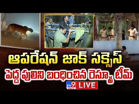 Live : ఆపరేషన్ పులి..  ప్రత్యక్ష ప్రసారం | Tiger Hulchul In East Godavari District - TV9 - TV9