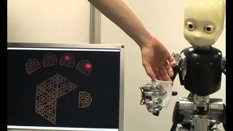 iCub grasps a fragile plastic cup with its tactile sensors