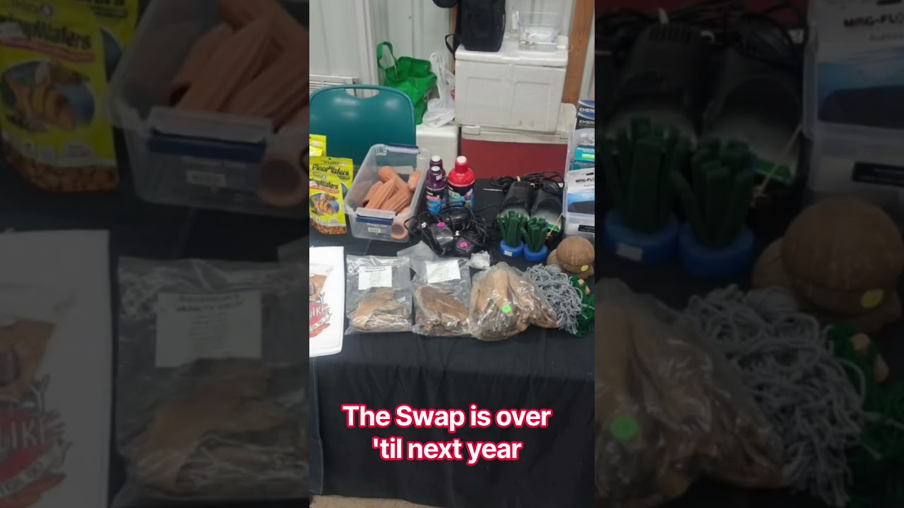 BFKA Fall Swap is over. Here's a glimpse at what you missed.