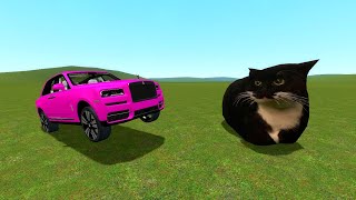 Maxwell Cat vs Surprise Car (Gmod)