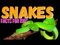 Understanding Snakes