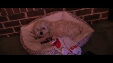 Social Information Processing Theory