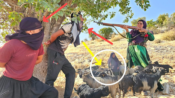 Thieves attack nomad herd:😱The resistance and courage of a nomad mother against thieves