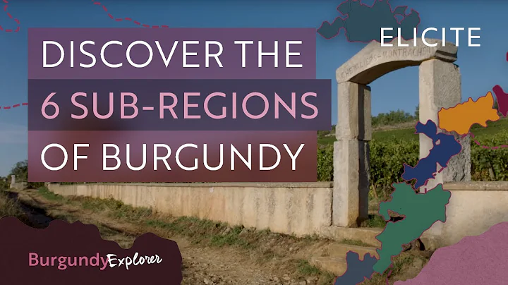 What Are The Wine Sub-Regions Of Burgundy?