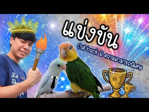 ลงแข่งขันนกแก้ว ครั้งแรกในชีวิต!! | My PET EP.9