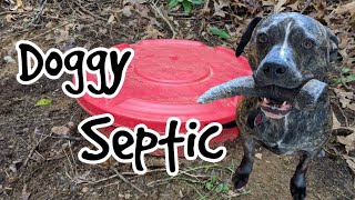 DIY Doggy Septic Build & Install