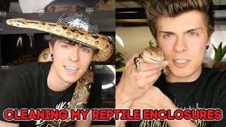Cleaning My Reptile Enclosures!
