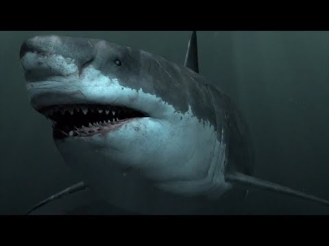 Megalodon-지금까지 존재했던 가장 큰 상어! / 다큐멘터리 (영어 / HD)