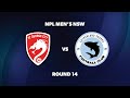 Npl mens nsw round 14 st george city fa v sutherland sharks fc