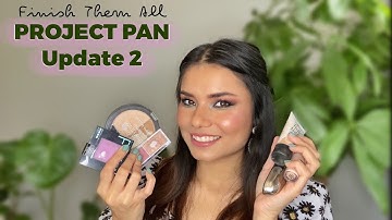 ANOTHER EMPTY | Project Pan Update 2 #projectpan #projectpan2023