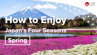 How to Enjoy Japan