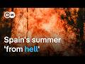 Deadly wildfires across Spain: Where are the worst-affected areas? | DW News
