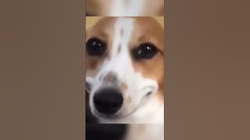 MW2 TRICKSHOTS ARE BACK 😫 | #mw2 #callofduty #cod